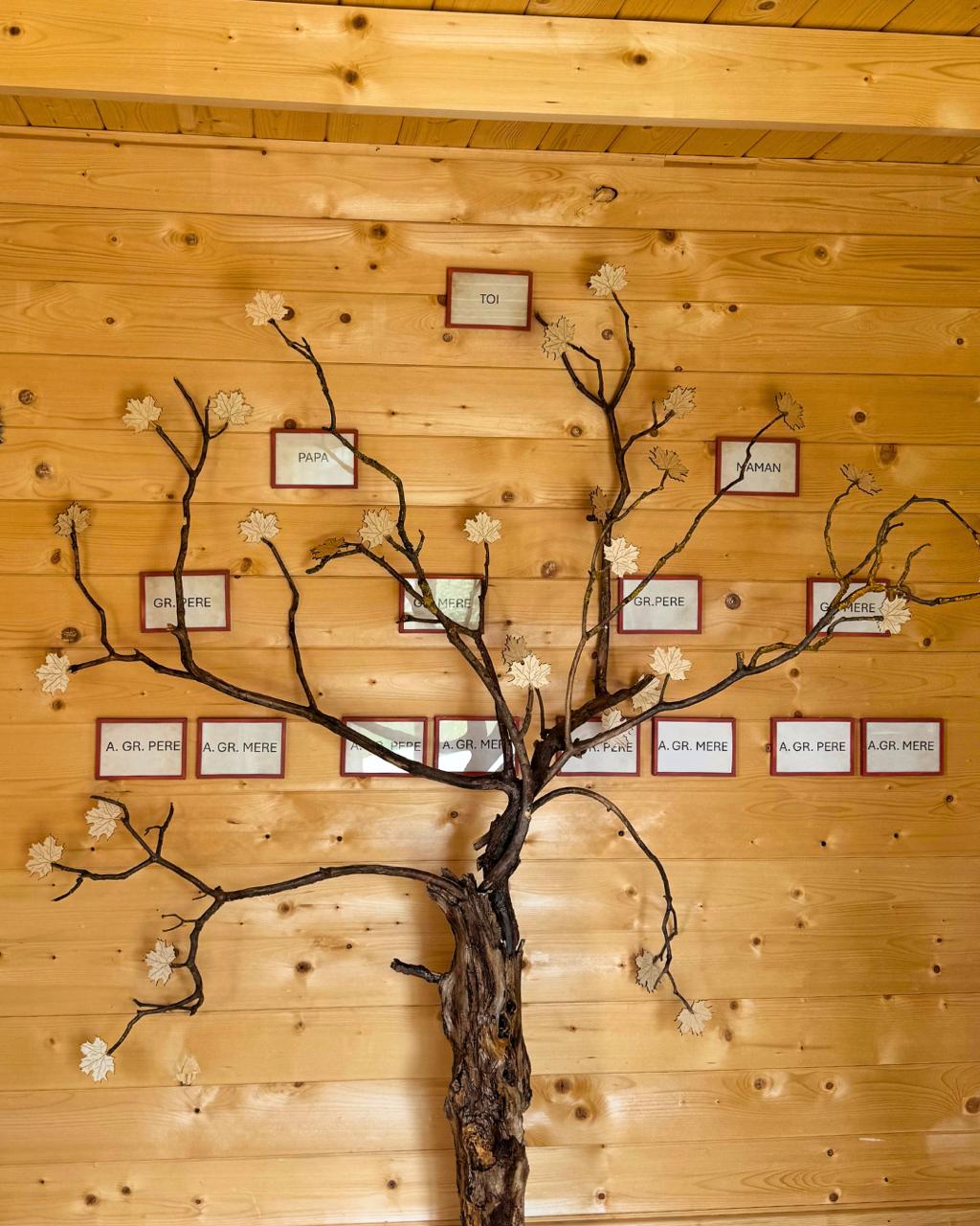 L'Arbre Émotionnel Transgénérationnel Comportemental — outil central du travail transgénérationnel de Kristine Barthe